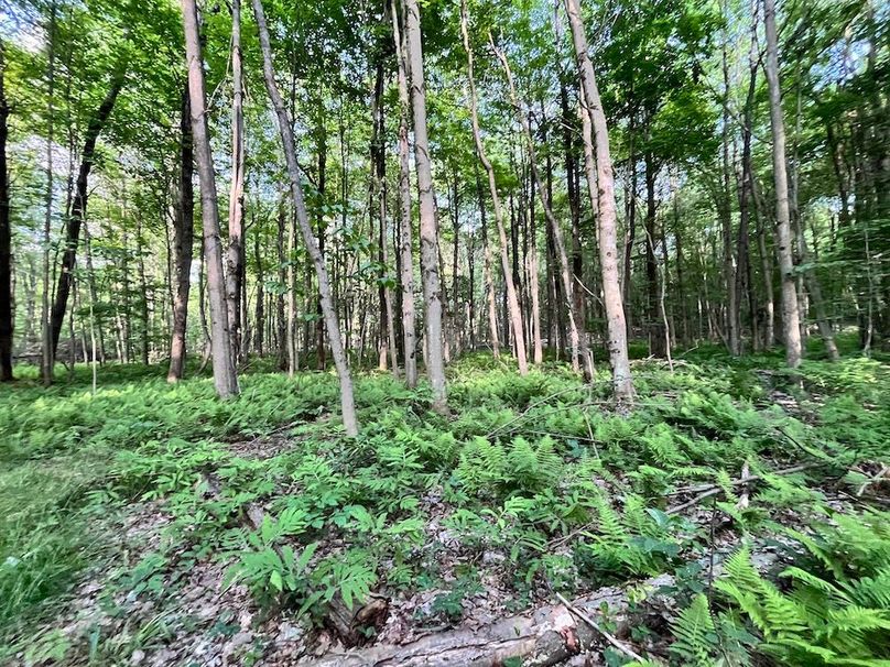 Jefferson_260.3_ Lobach_Photos_56