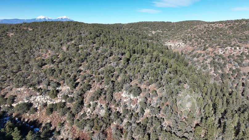 DJI_0516
