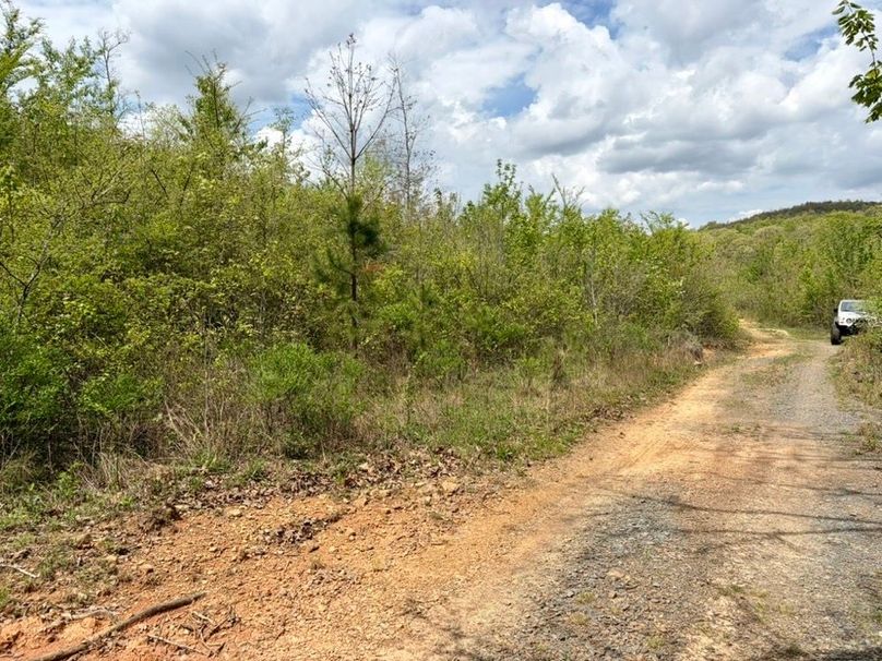 95183FAB-FDFB-4FAD-9B7A-C155F5FB36BF_1_105_c-2