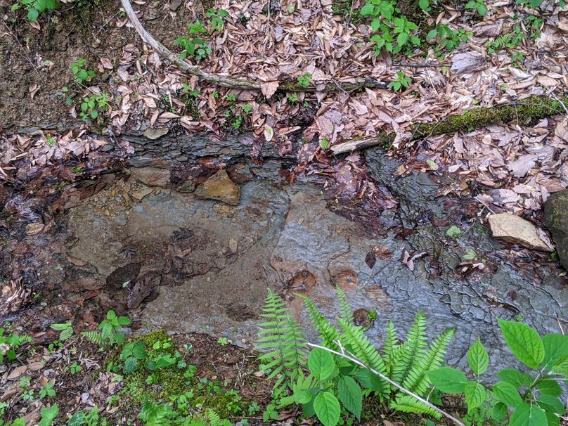 PXL_20230504_222402792