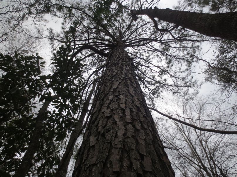 3062E92A-EDCC-47FA-BC23-DF5E7E3F04C9