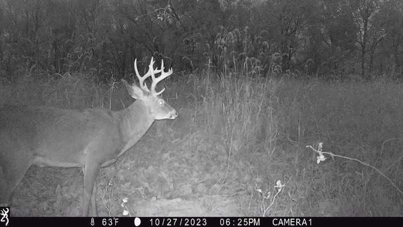 trail cam6