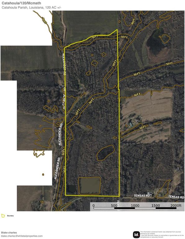 Catahoula_117_Contour