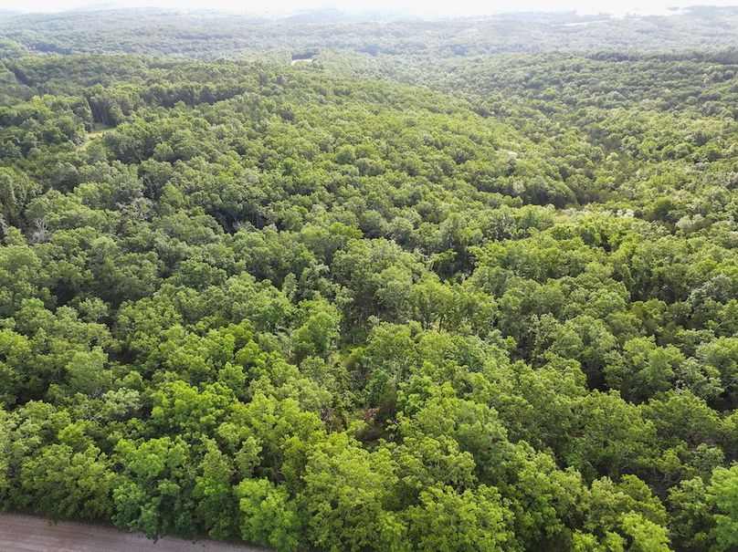 DJI_20260602075751_0249_D