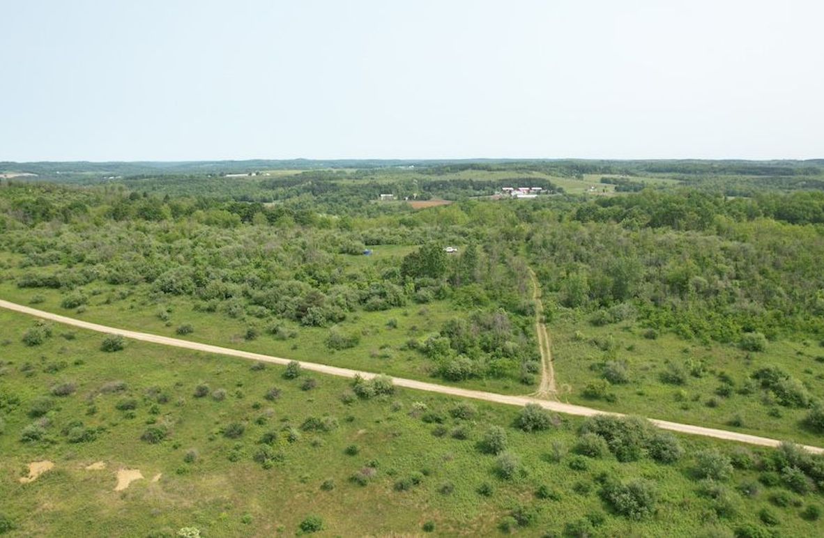dji_fly_20250602_111426_268_1748877841241_photo