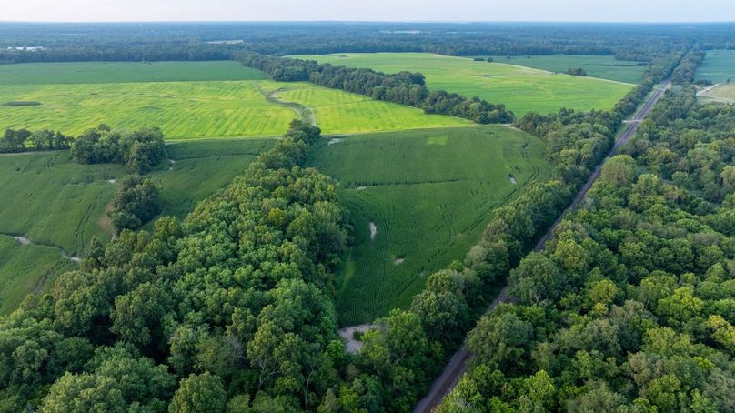 Copy of DJI_20250806063650_0082_D Large