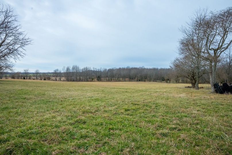 Copy of DSC00709 Large