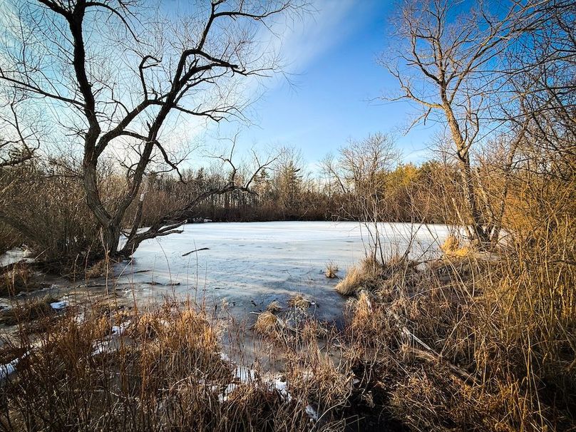 Seneca_24.54_Hohwald_Photos_21