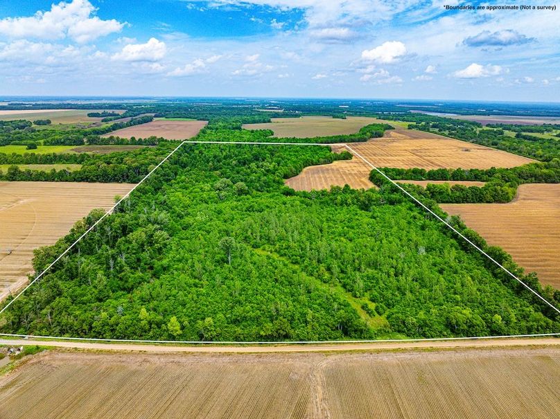 Copy of Noxubee 70 +- Tract 3-01