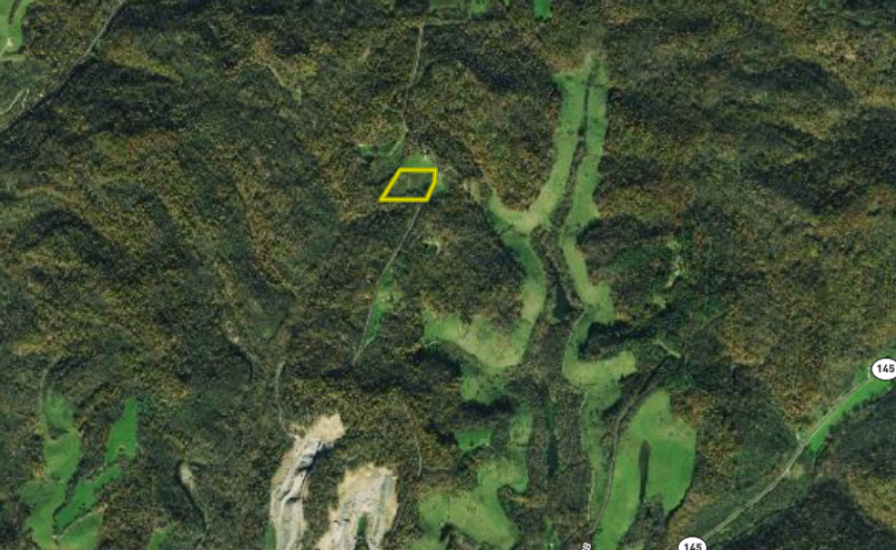 Screenshot 2024-06-19 at 12.23.07 PM