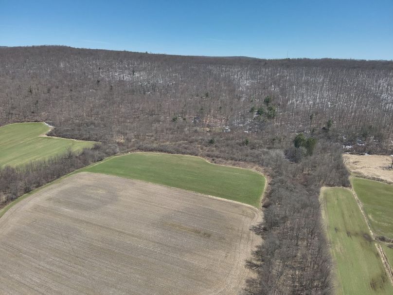 8 DJI_20250417095939_0005_V