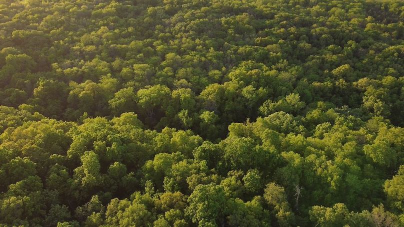 PAGE CO IA 130+_-_62