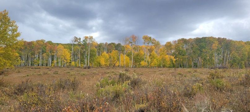 Copy of 20231011_133551