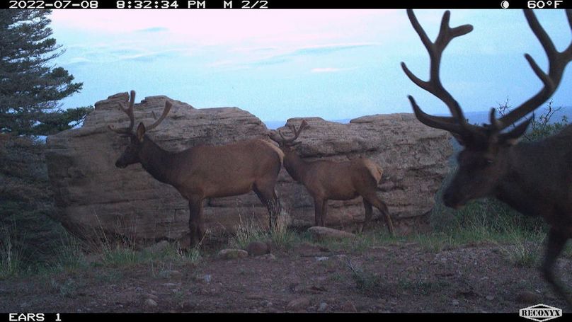 Copy of MBL_0057_7158884697996