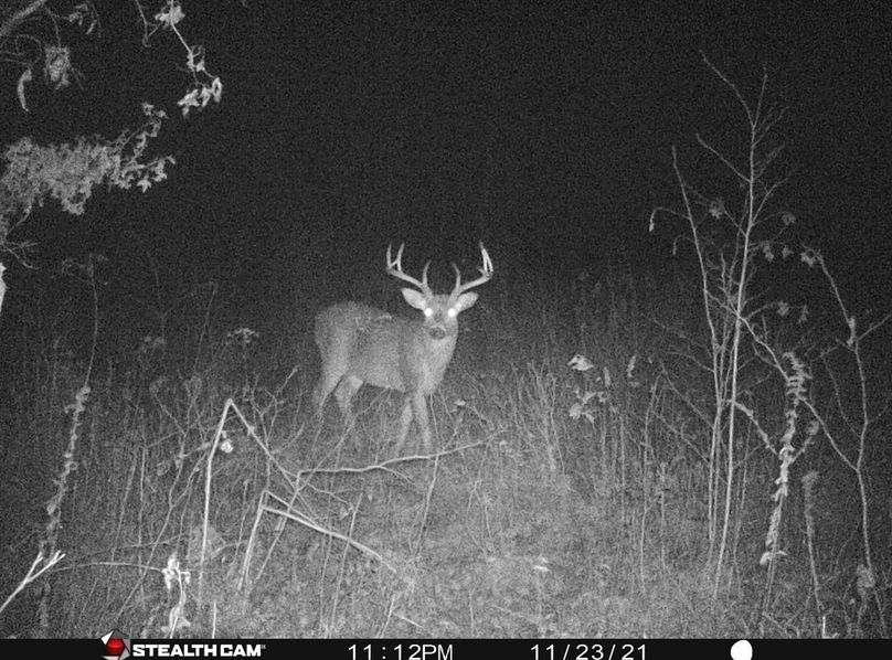 Screenshot_20230402_142201_Messages