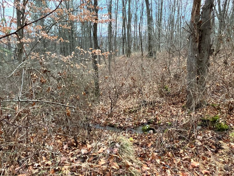 Schuyler_17.7_Fausel Photo 36