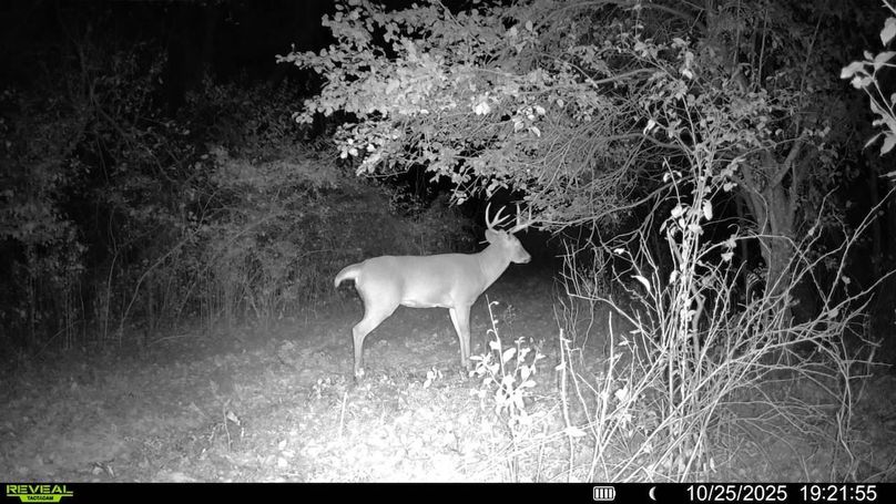 016579008048089-100-4-10252025192155-SYFW00013