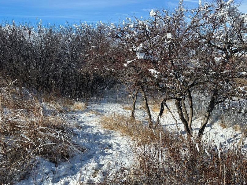 B2892A86-DC0C-4684-8604-478DA8F0A725_1_105_c