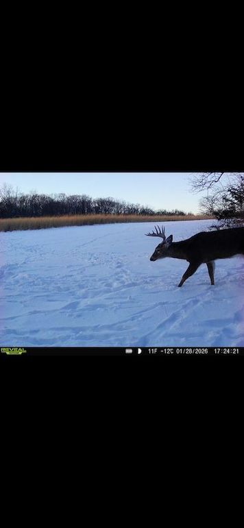 Screenshot 2026-02-27 at 3.55.47 PM