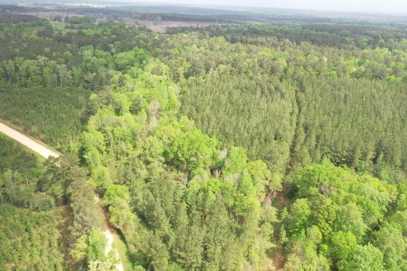 DJI_0035