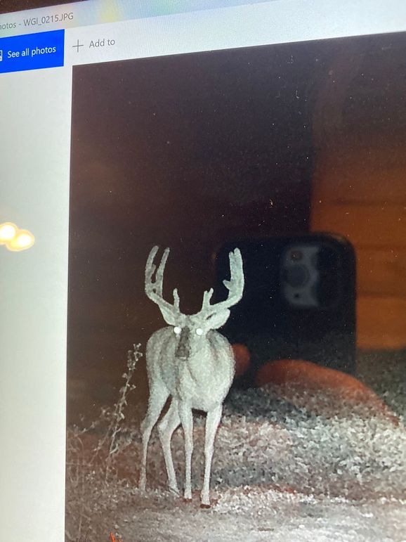 61888834956__87A147C6-165F-4E3C-B9F5-40A2A3EB7266