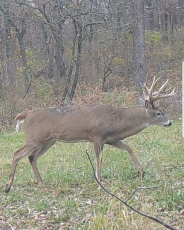 Screenshot_20240823_163026_Gallery