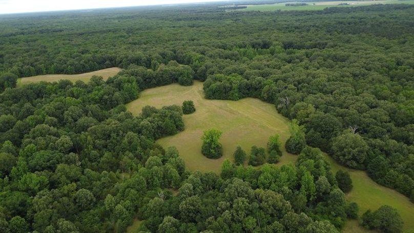 DJI_0264