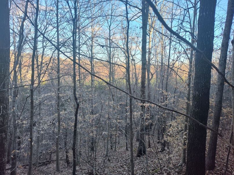 IMG_20240302_165758336_HDR