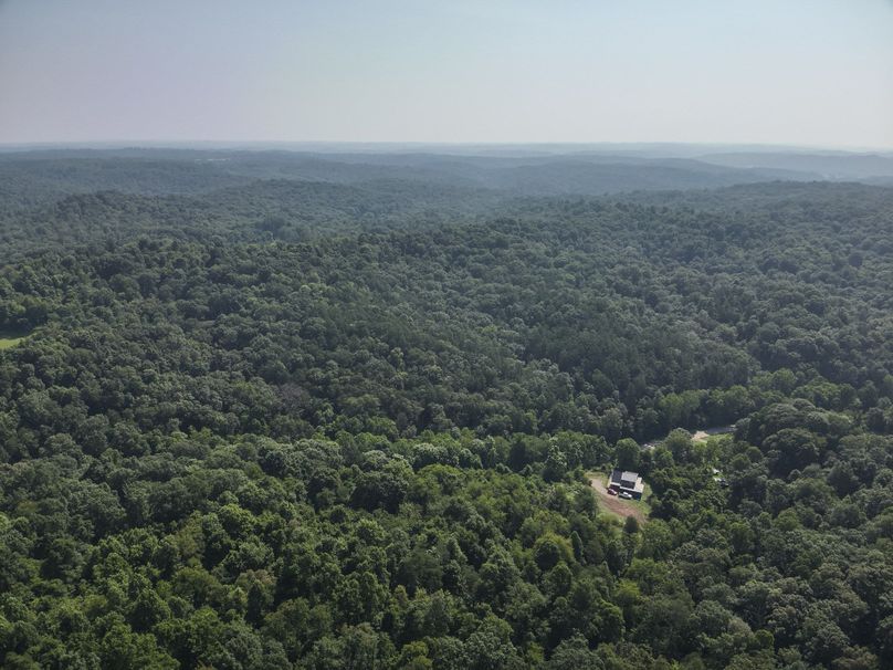 16. High W (41acres)