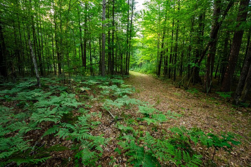 Ogemaw MI 475 Featured Pro Photo-01359