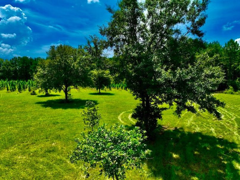 64BEFB9C-50E2-484E-AB2A-A3025CA8ED79_1_105_c