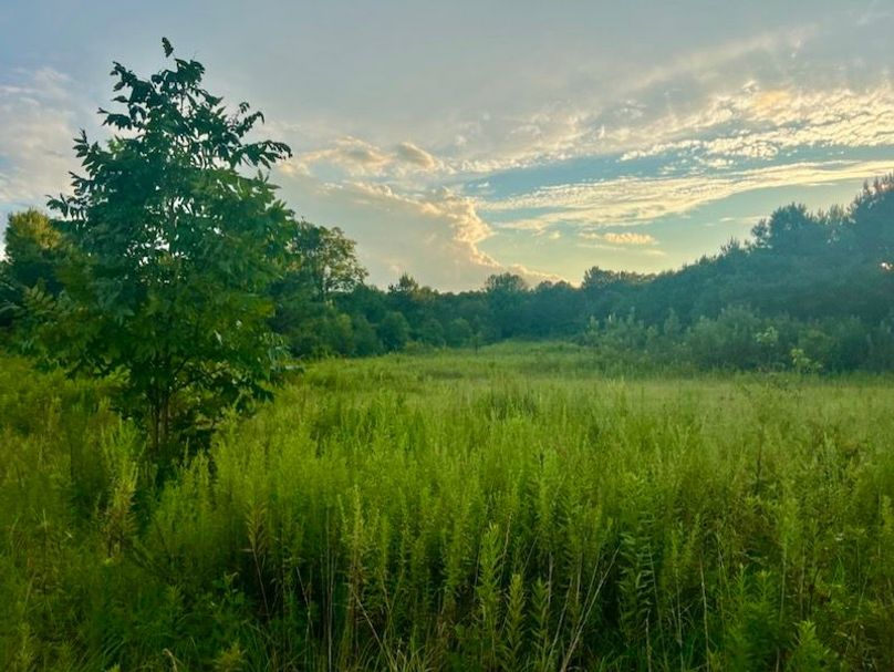 8A92640F-CC48-40BB-A59A-D11926EFACAE_1_105_c