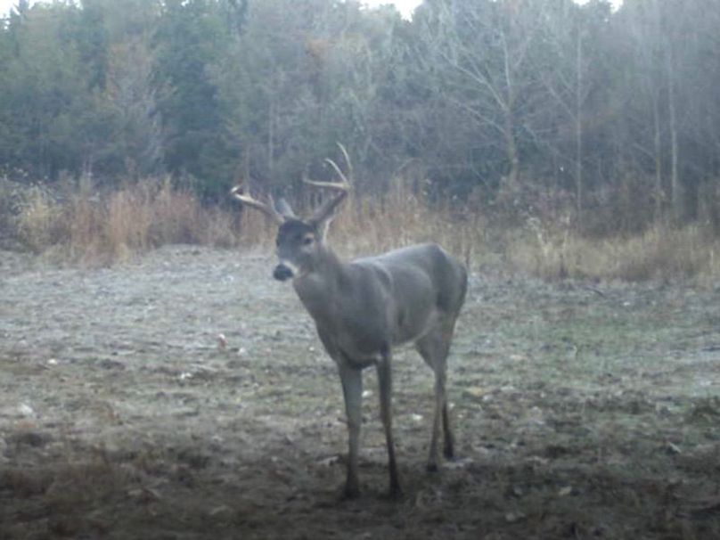 Screenshot 2024-03-02 132753