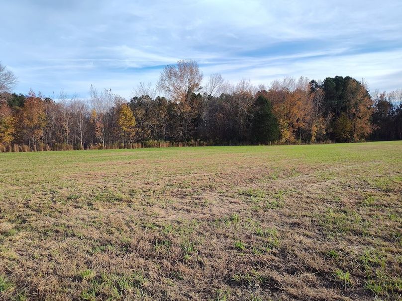 IMG_20251105_154909095