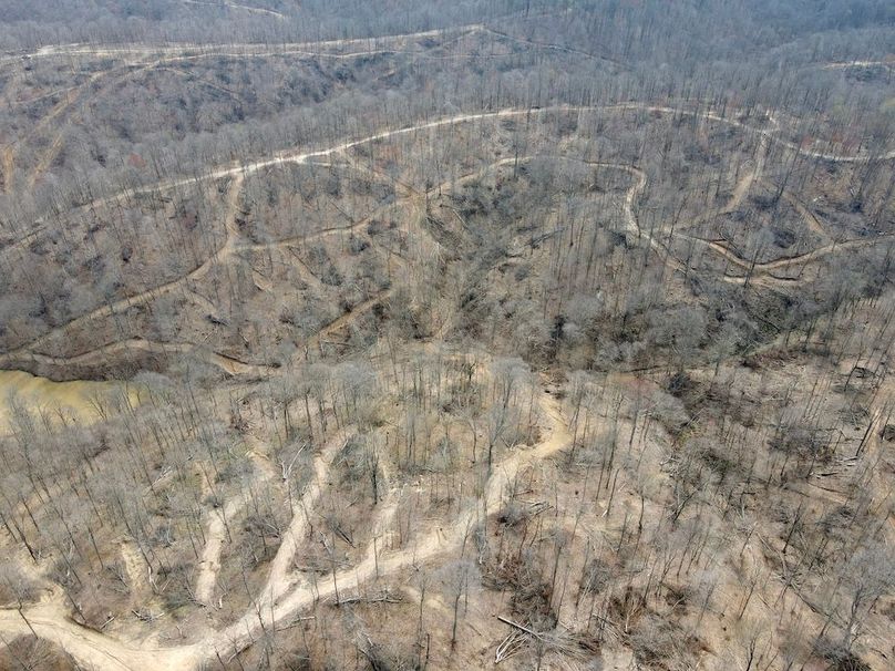 dji_fly_20240329_125626_569_1711731400601_photo