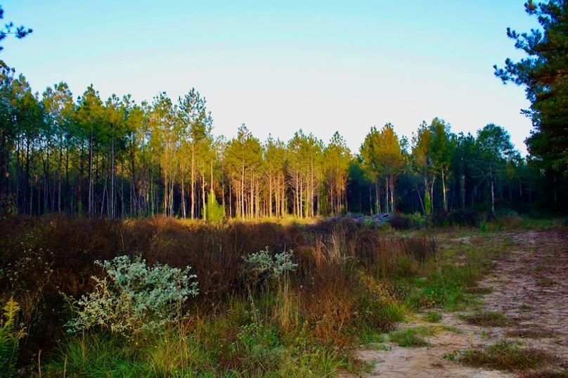 E383E232-E5E1-4327-AF0E-210B6B920889_1_201_a