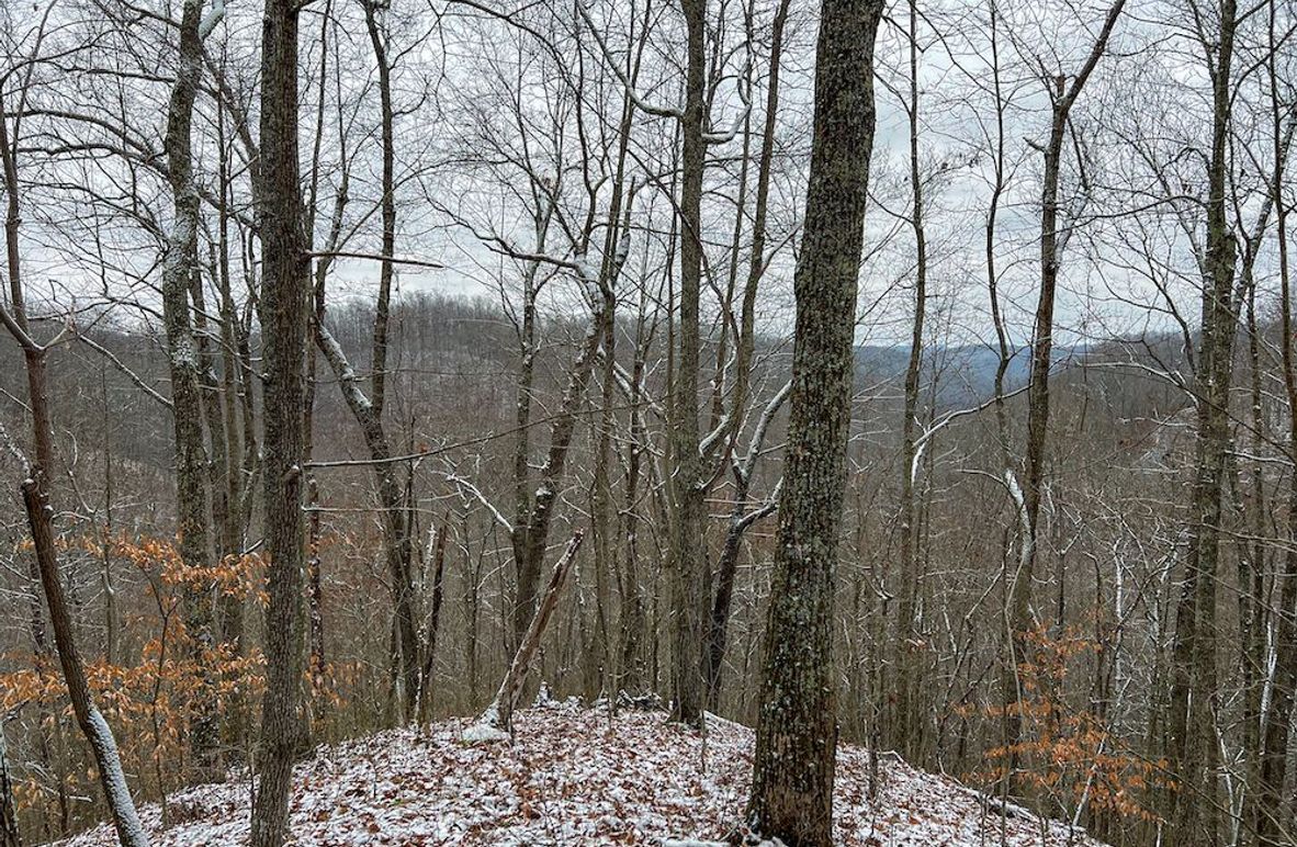 Braxton, WV 82 AC Greene -01