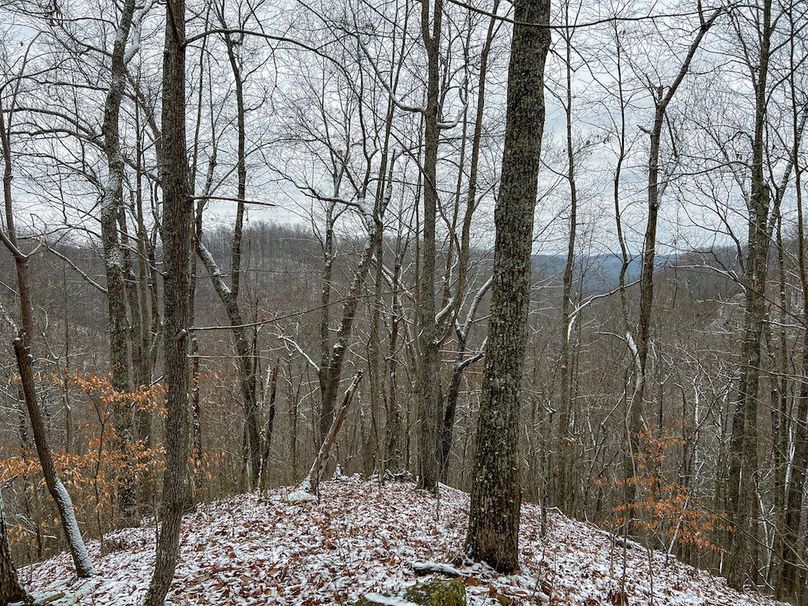 Braxton, WV 82 AC Greene -01