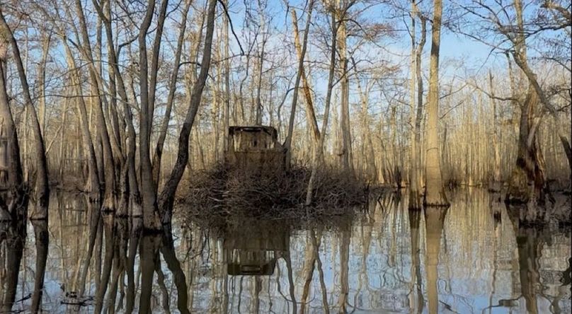 swamp20260501_0197