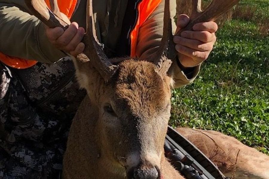 Dads Booner
