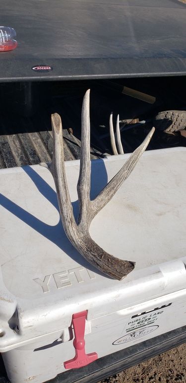 Copy of 20210318_154912