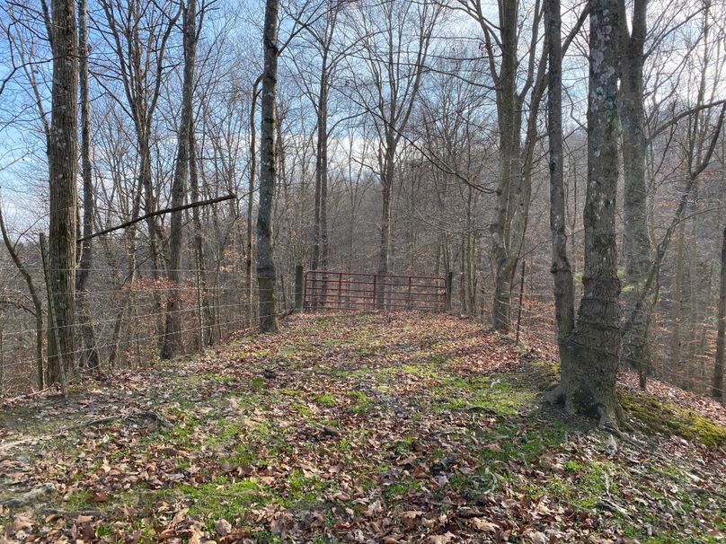 022 gate leading down the point toward the river and east section of the property copy
