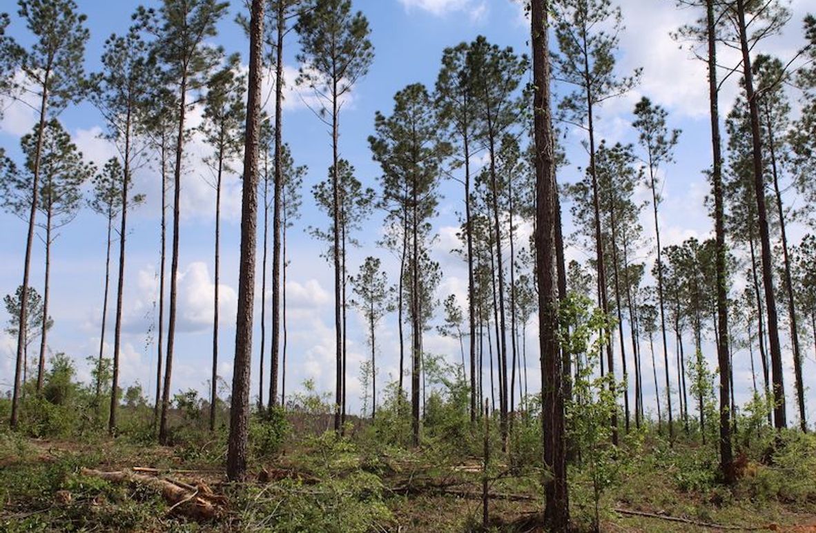 1A386E9F-6A3F-4396-85BD-2670D3E95DFD