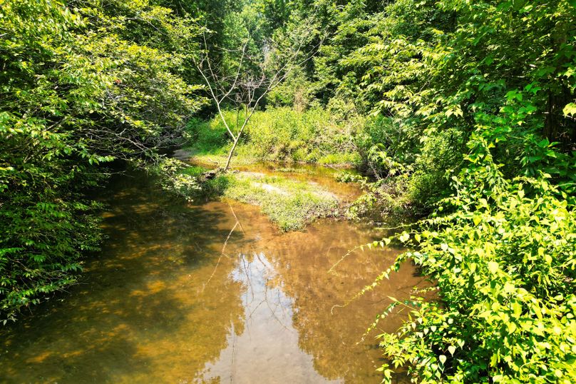 05 Gap Creek 03