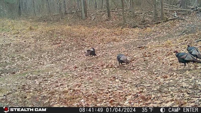 24010408414801001256