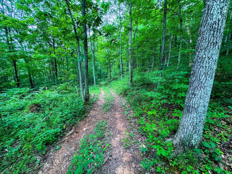 Tyler, WV 46 Lemasters -31