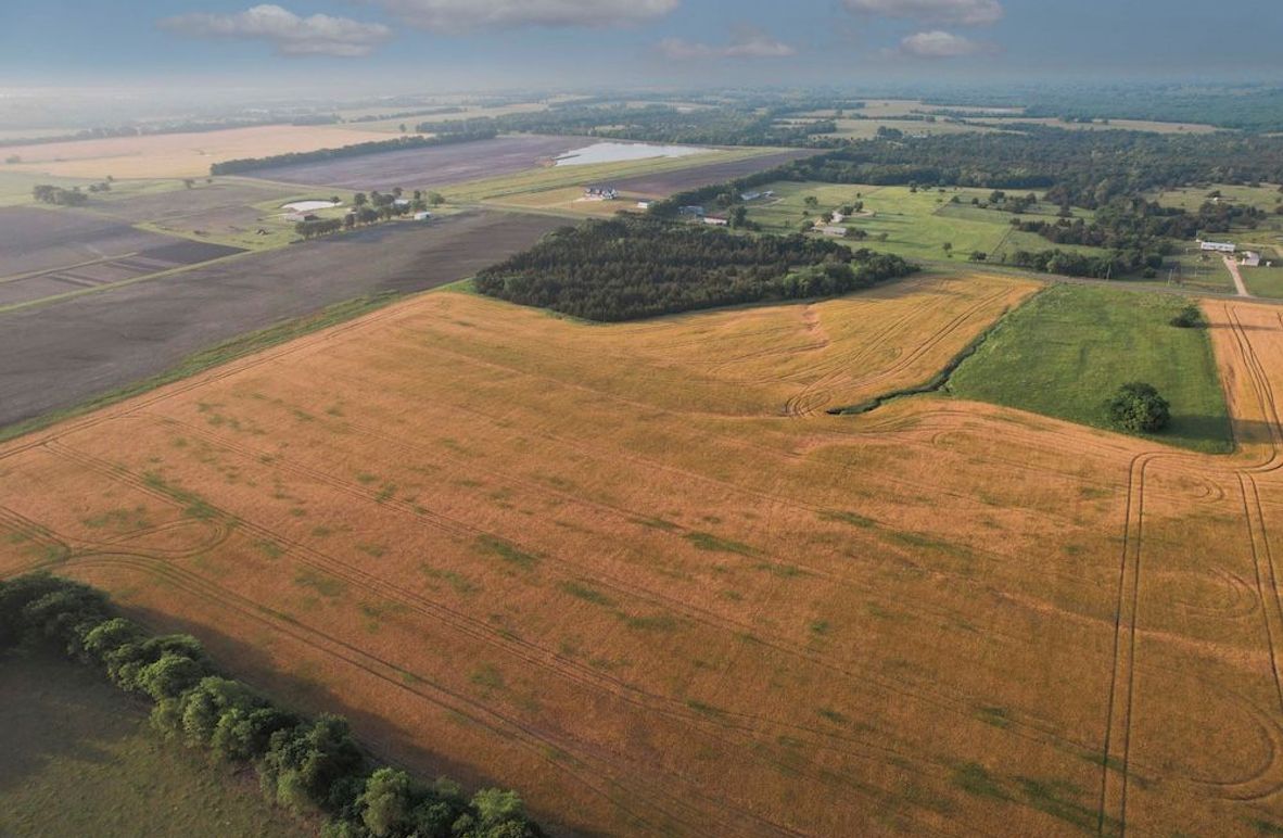 Lamar County- 92.66 Acres (5 of 29)