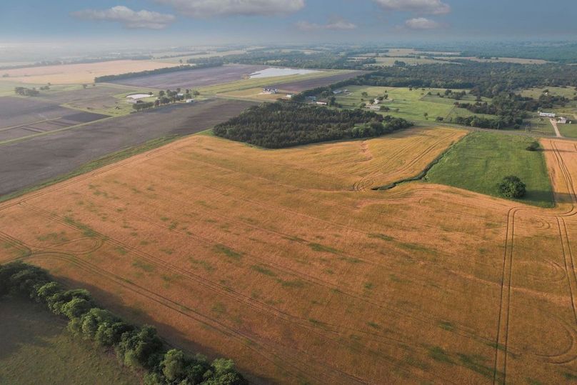 Lamar County- 92.66 Acres (5 of 29)