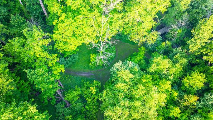 DJI_20250516060355_0030_D