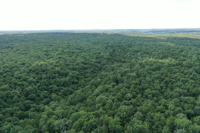 DJI_0001